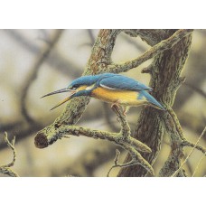 WATERMARK GREETING CARD AZURE KINGFISHER